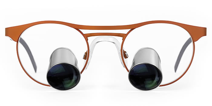 ev_panto_burnt ev panto burnt